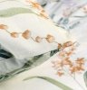 Pościel bawełniana DARYMEX kolekcja Cottonlove 140x200 + 1x70x80 wz. 71498/1